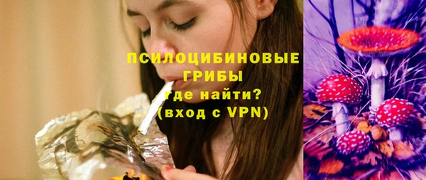 МДМА Горняк