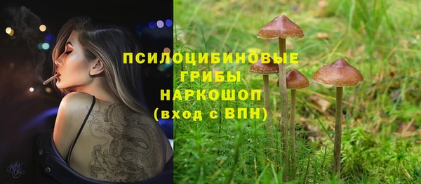 бутират Горно-Алтайск
