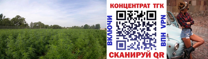 Дистиллят ТГК жижа  Рузаевка 