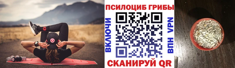 Псилоцибиновые грибы GOLDEN TEACHER  Рузаевка 