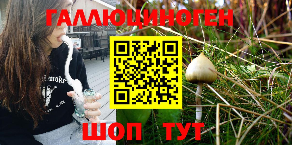 купить наркотики цена  Рузаевка  Галлюциногенные грибы ЛСД  Галлюциногенные грибы ЛСД 