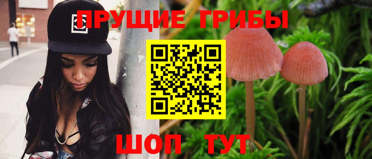 Рузаевка  Галлюциногенные грибы Cubensis  как найти наркотики  Вход с VPN 